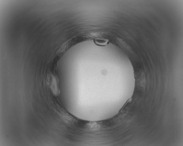 X0000062890425200601271652