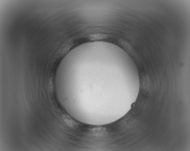 X0000062890426200601271652