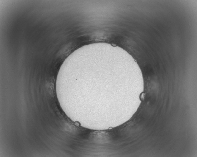 X0000062890427200601271652