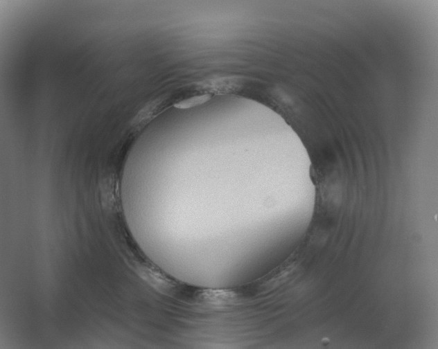 X0000062890429200601271652