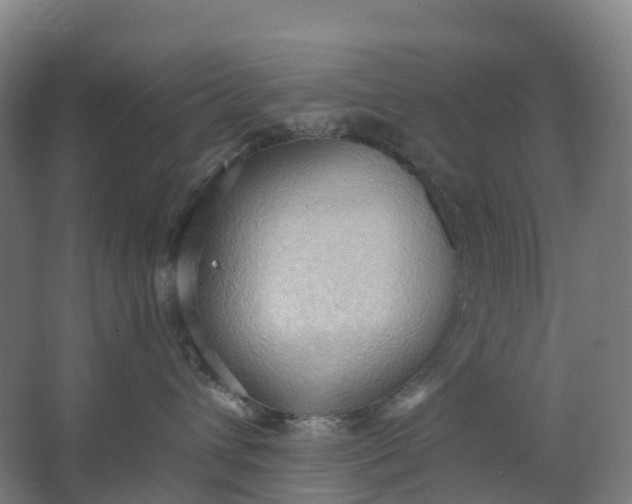 X0000062890432200601271652