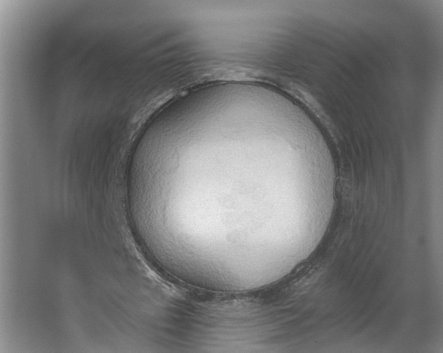 X0000062890433200601271651