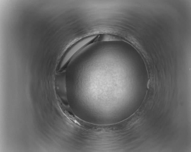 X0000062890434200601271651