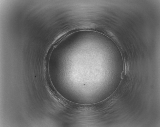 X0000062890435200601271652