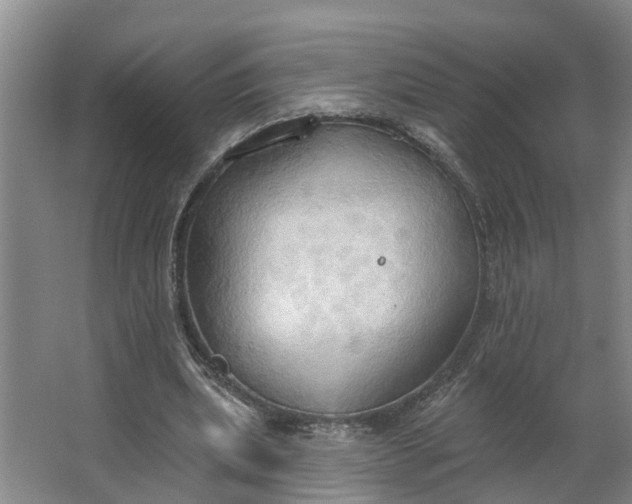 X0000062890439200601271652