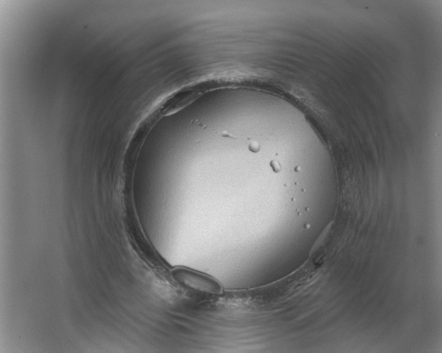 X0000062890440200601271652