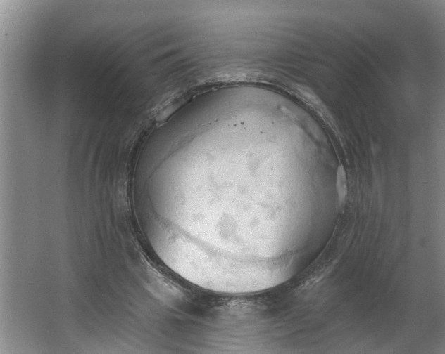 X0000062890441200601271652