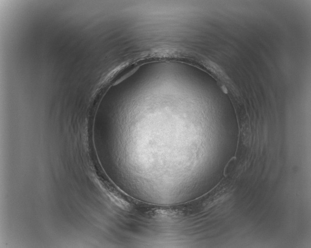 X0000062890442200601271652