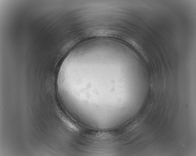 X0000062890445200601271652