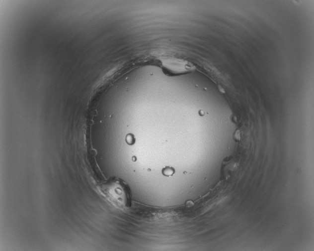 X0000062890446200601271652