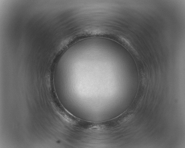 X0000062890447200601271652