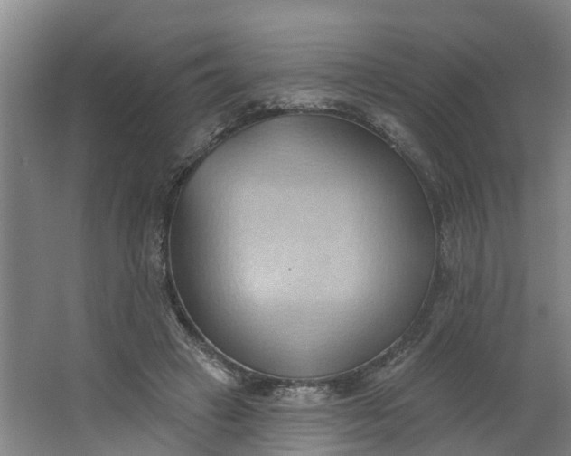 X0000062890449200601271652