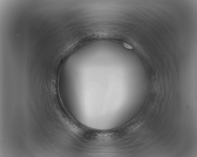 X0000062890450200601271652