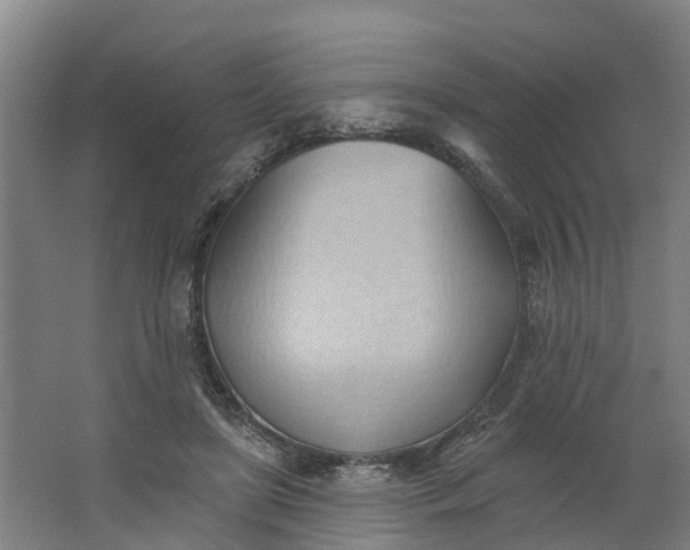 X0000062890451200601271652