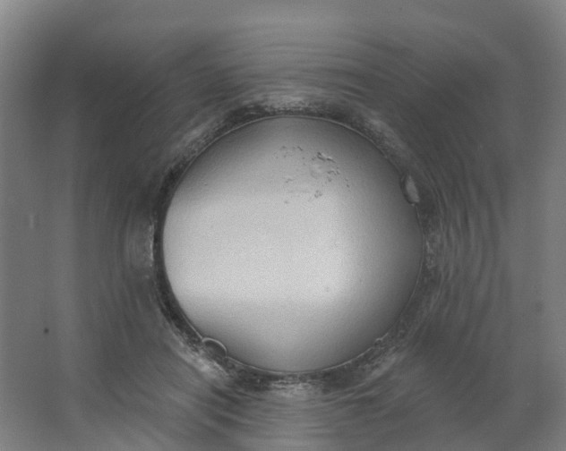 X0000062890454200601271652