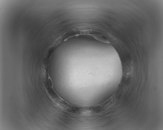 X0000062890456200601271652