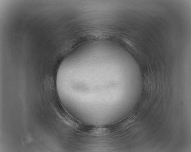 X0000062890459200601271652