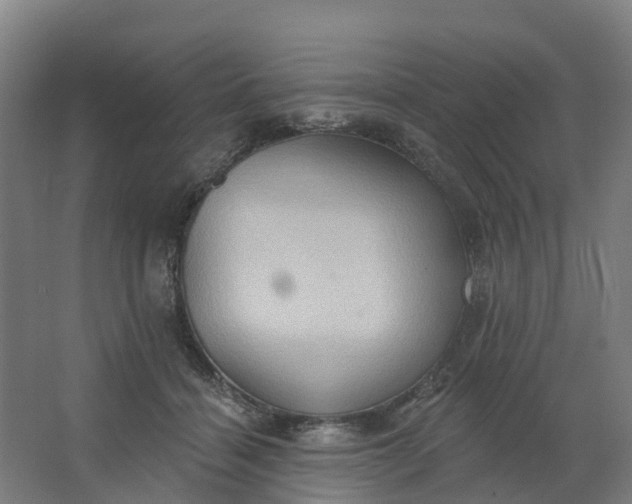 X0000062890460200601271652