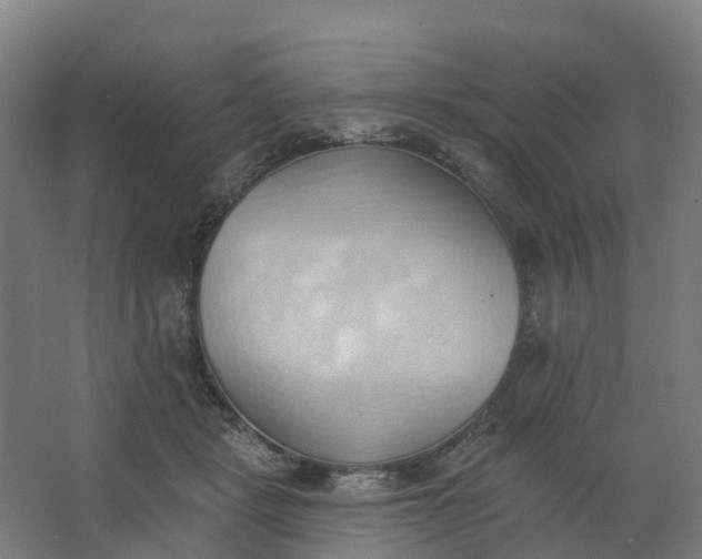 X0000062890461200601271652