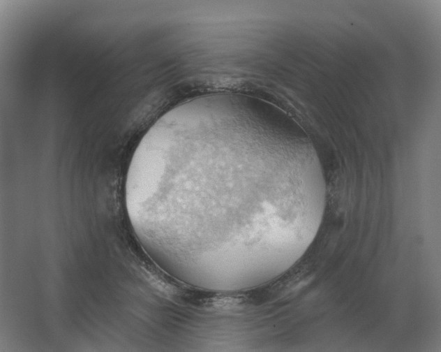 X0000062890462200601271652