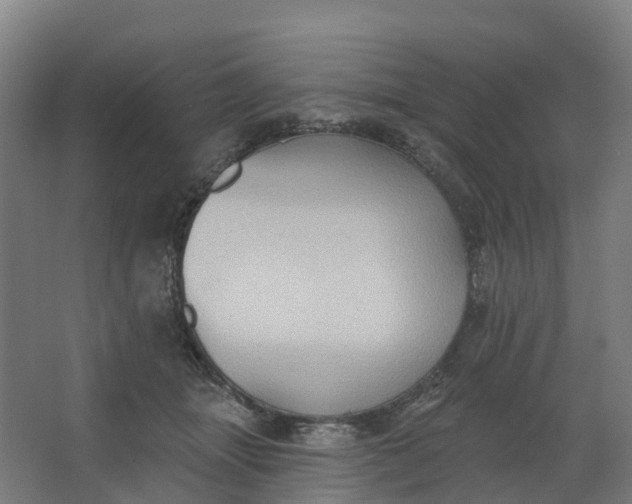 X0000062890463200601271652