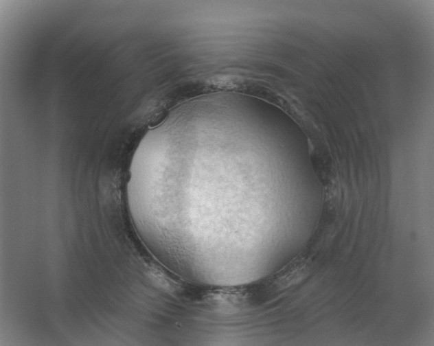 X0000062890466200601271652