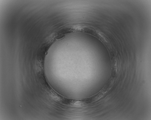 X0000062890467200601271652