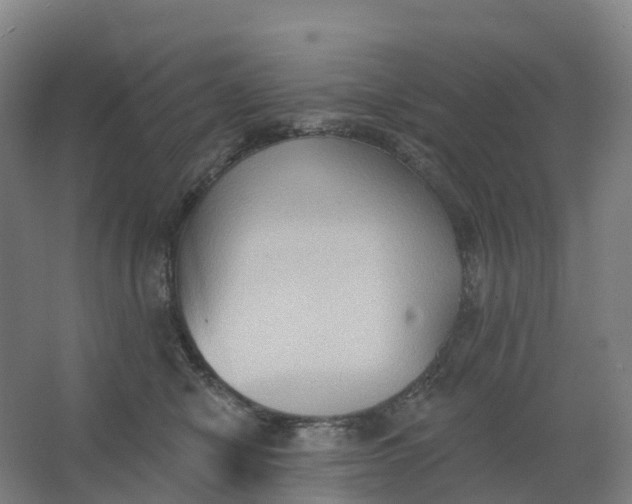 X0000062890470200601271652