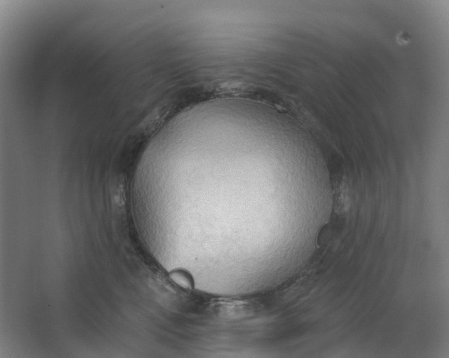 X0000062890472200601271652