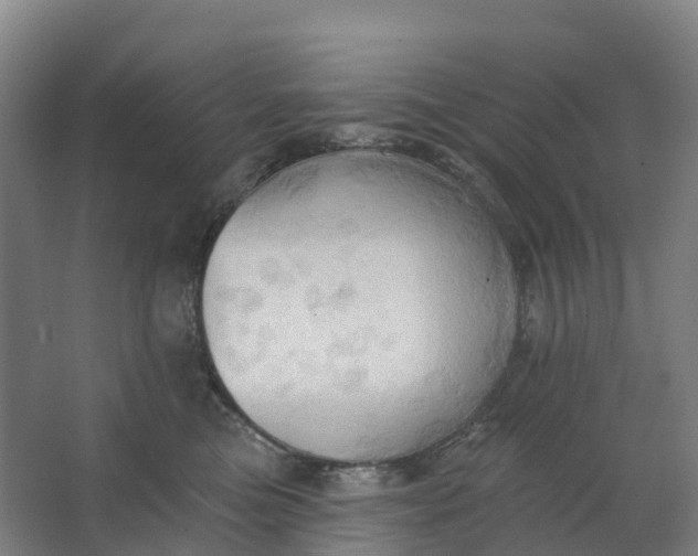 X0000062890473200601271652