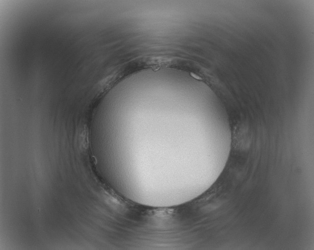 X0000062890474200601271652