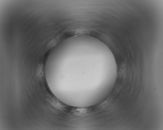 X0000062890478200601271652