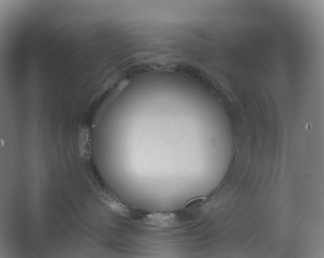 X0000062890480200601271652