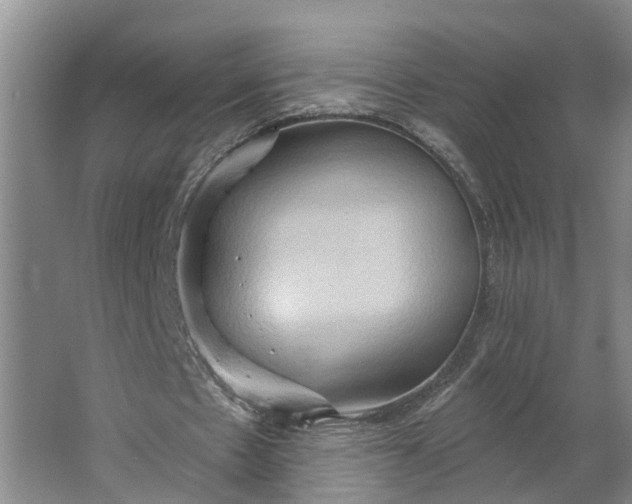 X0000062890481200601271651