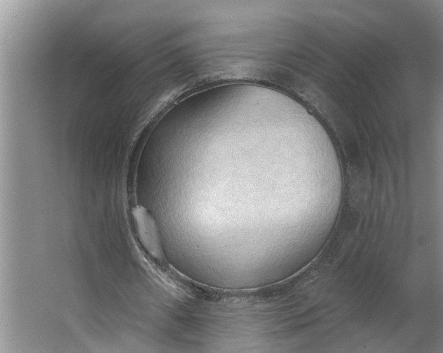 X0000062890482200601271651