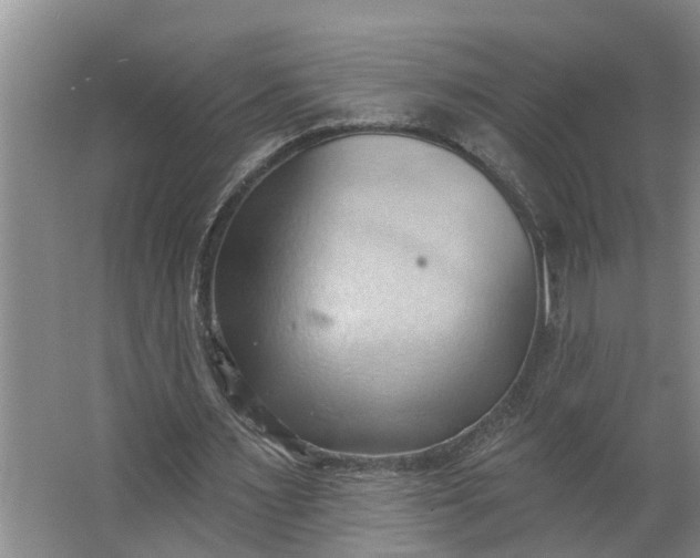 X0000062890483200601271651