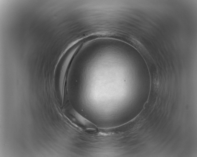 X0000062890484200601271651