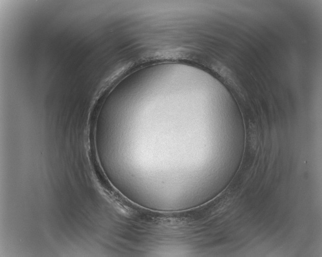 X0000062890486200601271651