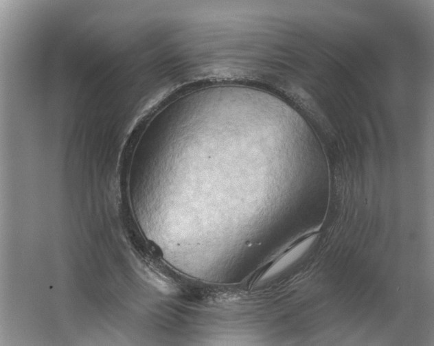 X0000062890488200601271651