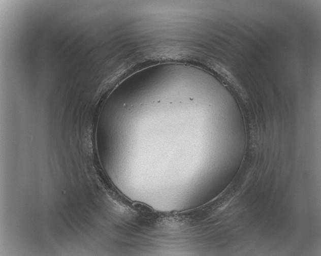 X0000062890489200601271651