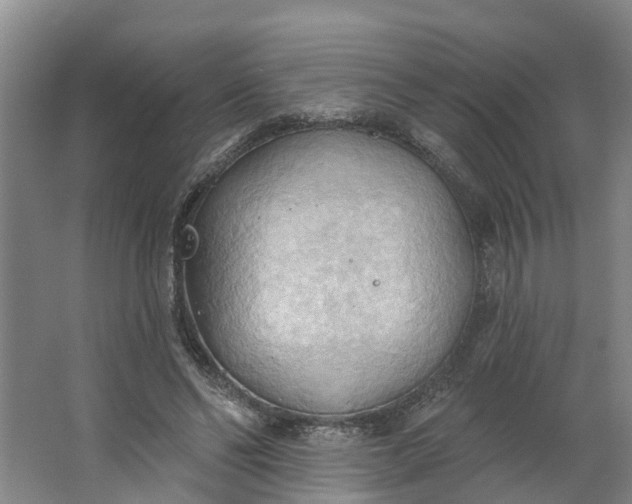 X0000062890494200601271651