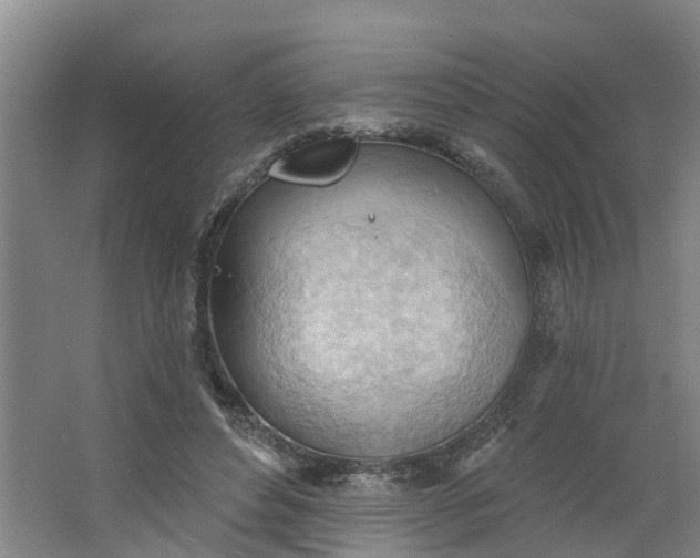 X0000062890496200601271651