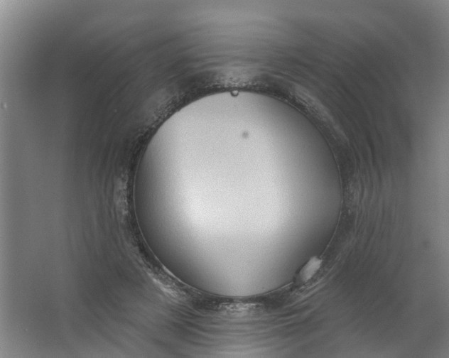 X0000062890497200601271651