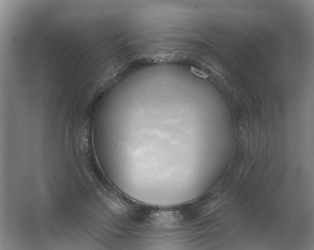 X0000062890499200601271651