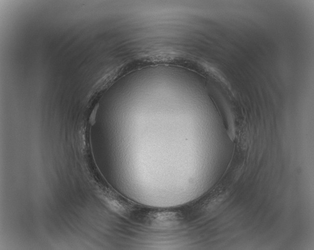 X0000062890501200601271651