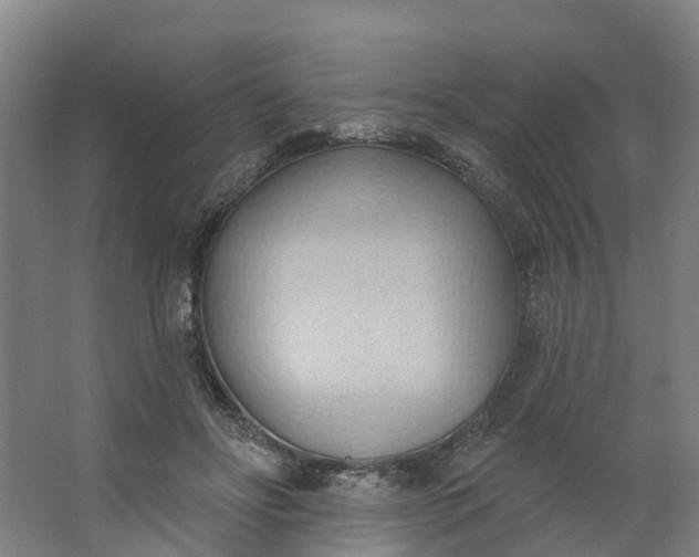 X0000062890502200601271651