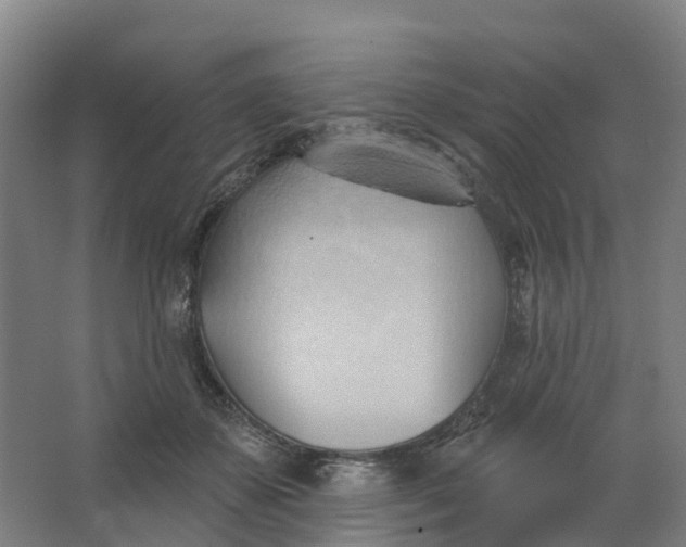 X0000062890507200601271651