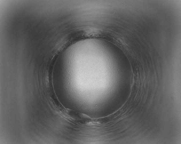 X0000062890508200601271651