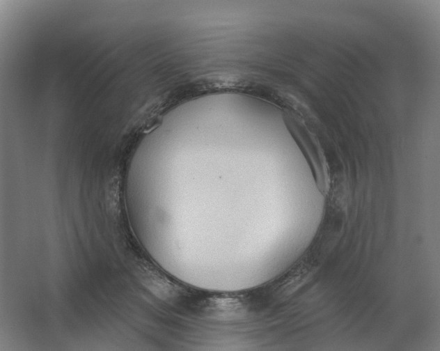 X0000062890509200601271651