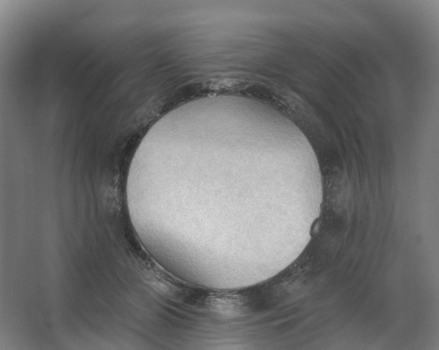 X0000062890510200601271651